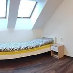 Bystricka Гостевой дом 3*